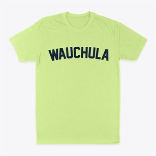 Wauchula Florida Classic Curve Classic Dad T-Shirt