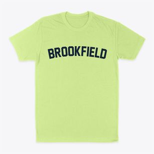 Brookfield Missouri Classic Curve Classic Dad T-Shirt