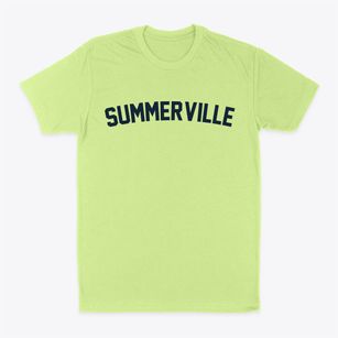 Summerville South Carolina Classic Curve Classic Dad T-Shirt