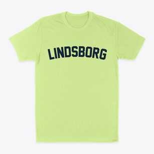 Lindsborg Kansas Classic Curve Classic Dad T-Shirt