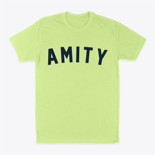 Amity New York Classic Curve Classic Dad T-Shirt