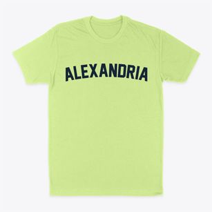 Alexandria Virginia Classic Curve Classic Dad T-Shirt