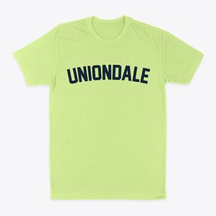 Uniondale New York Classic Curve Classic Dad T-Shirt