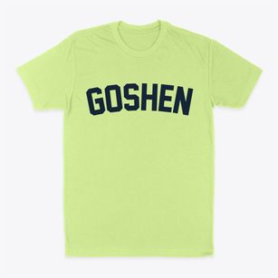 Goshen Utah Classic Curve Classic Dad T-Shirt