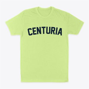 Centuria Wisconsin Classic Curve Classic Dad T-Shirt