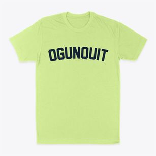 Ogunquit Maine Classic Curve Classic Dad T-Shirt