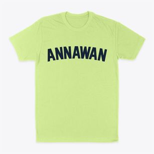 Annawan Illinois Classic Curve Classic Dad T-Shirt