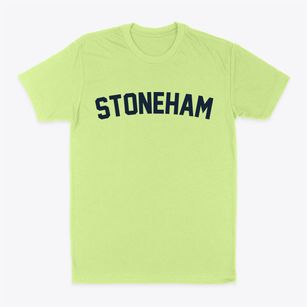 Stoneham Massachusetts Classic Curve Classic Dad T-Shirt