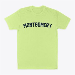 Montgomery Michigan Classic Curve Classic Dad T-Shirt