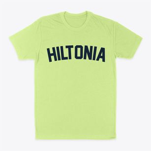 Hiltonia Georgia Classic Curve Classic Dad T-Shirt