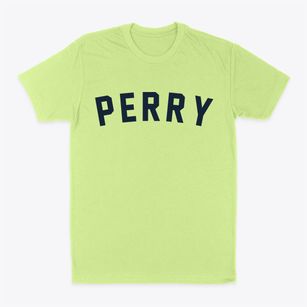 Perry Arkansas Classic Curve Classic Dad T-Shirt