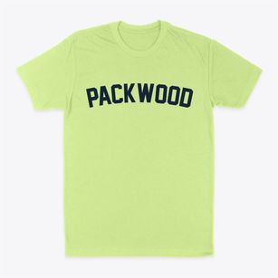 Packwood Iowa Classic Curve Classic Dad T-Shirt