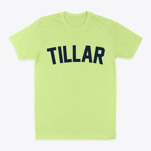Tillar Arkansas Classic Curve Classic Dad T-Shirt