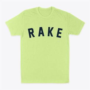 Rake Iowa Classic Curve Classic Dad T-Shirt