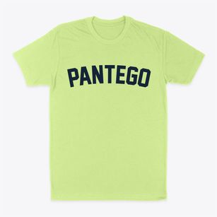 Pantego North Carolina Classic Curve Classic Dad T-Shirt