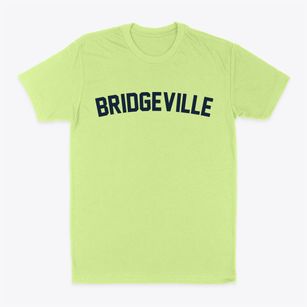 Bridgeville New Jersey Classic Curve Classic Dad T-Shirt