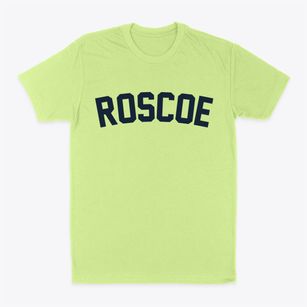 Roscoe Missouri Classic Curve Classic Dad T-Shirt