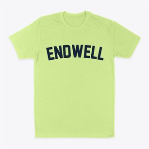 Endwell New York Classic Curve Classic Dad T-Shirt