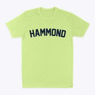 Hammond Indiana Classic Curve Classic Dad T-Shirt