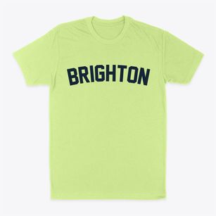 Brighton Michigan Classic Curve Classic Dad T-Shirt