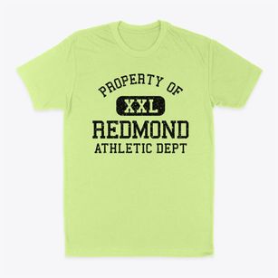 Redmond Washington Athletic Dept Classic Dad T-Shirt