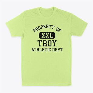 Troy New York Athletic Dept Classic Dad T-Shirt