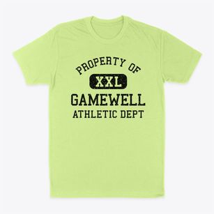 Gamewell North Carolina Athletic Dept Classic Dad T-Shirt