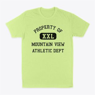 Mountain View Hawaii Athletic Dept Classic Dad T-Shirt