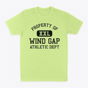Wind Gap Pennsylvania Athletic Dept Classic Dad T-Shirt