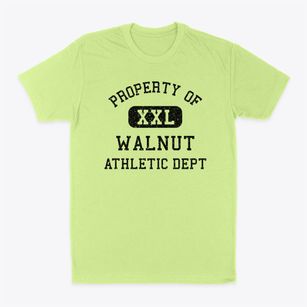 Walnut Iowa Athletic Dept Classic Dad T-Shirt
