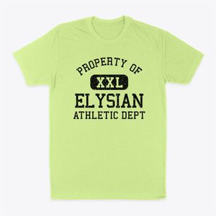 Elysian Minnesota Athletic Dept Classic Dad T-Shirt