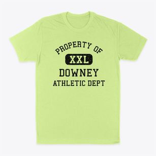 Downey Idaho Athletic Dept Classic Dad T-Shirt