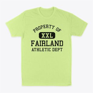Fairland Indiana Athletic Dept Classic Dad T-Shirt