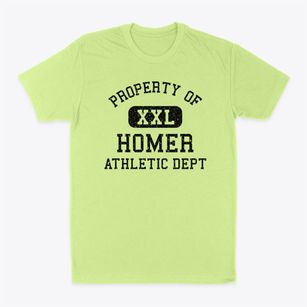 Homer Nebraska Athletic Dept Classic Dad T-Shirt