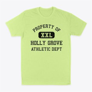 Holly Grove Arkansas Athletic Dept Classic Dad T-Shirt