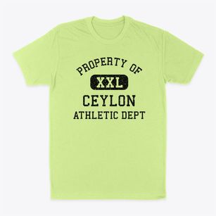 Ceylon Minnesota Athletic Dept Classic Dad T-Shirt