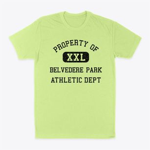 Belvedere Park Georgia Athletic Dept Classic Dad T-Shirt