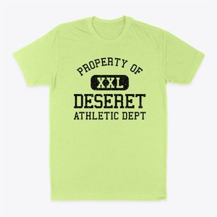 Deseret Utah Athletic Dept Classic Dad T-Shirt