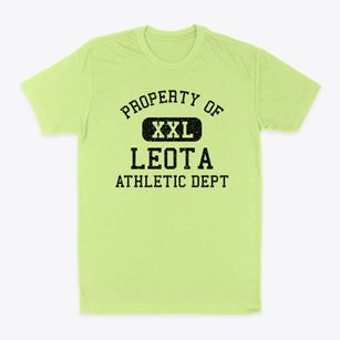 Leota Minnesota Athletic Dept Classic Dad T-Shirt