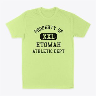 Etowah Oklahoma Athletic Dept Classic Dad T-Shirt