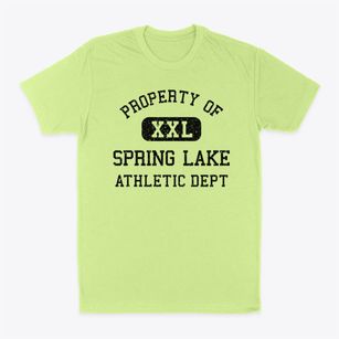 Spring Lake North Carolina Athletic Dept Classic Dad T-Shirt