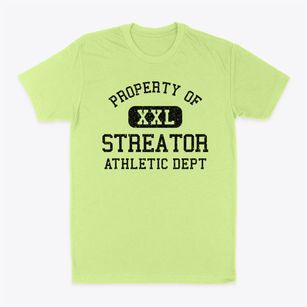 Streator Illinois Athletic Dept Classic Dad T-Shirt