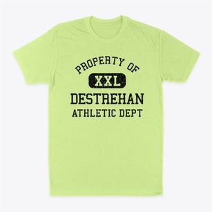 Destrehan Louisiana Athletic Dept Classic Dad T-Shirt