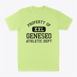 Geneseo New York Athletic Dept Classic Dad T-Shirt