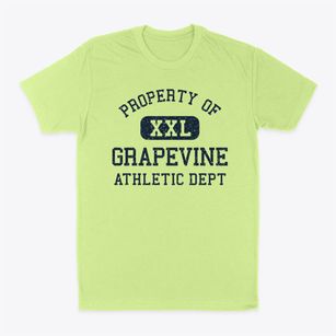 Grapevine Texas Athletic Dept Classic Dad T-Shirt