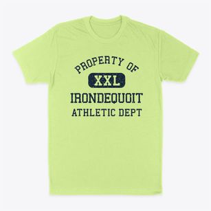 Irondequoit New York Athletic Dept Classic Dad T-Shirt