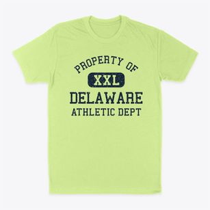 Delaware New York Athletic Dept Classic Dad T-Shirt