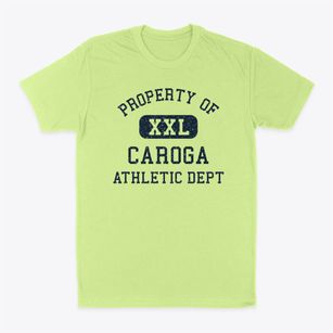 Caroga New York Athletic Dept Classic Dad T-Shirt