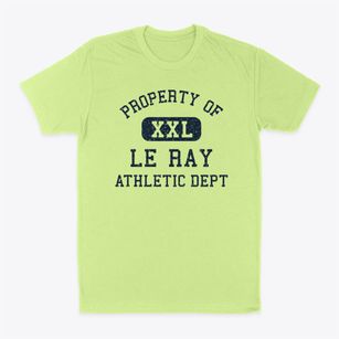 Le Ray New York Athletic Dept Classic Dad T-Shirt