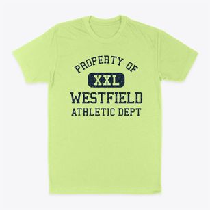 Westfield Illinois Athletic Dept Classic Dad T-Shirt